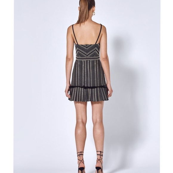 Alexis Grazie Black Beige Stripe Print Pleated Raffia Trim Mini Dress - Picture 5 of 16